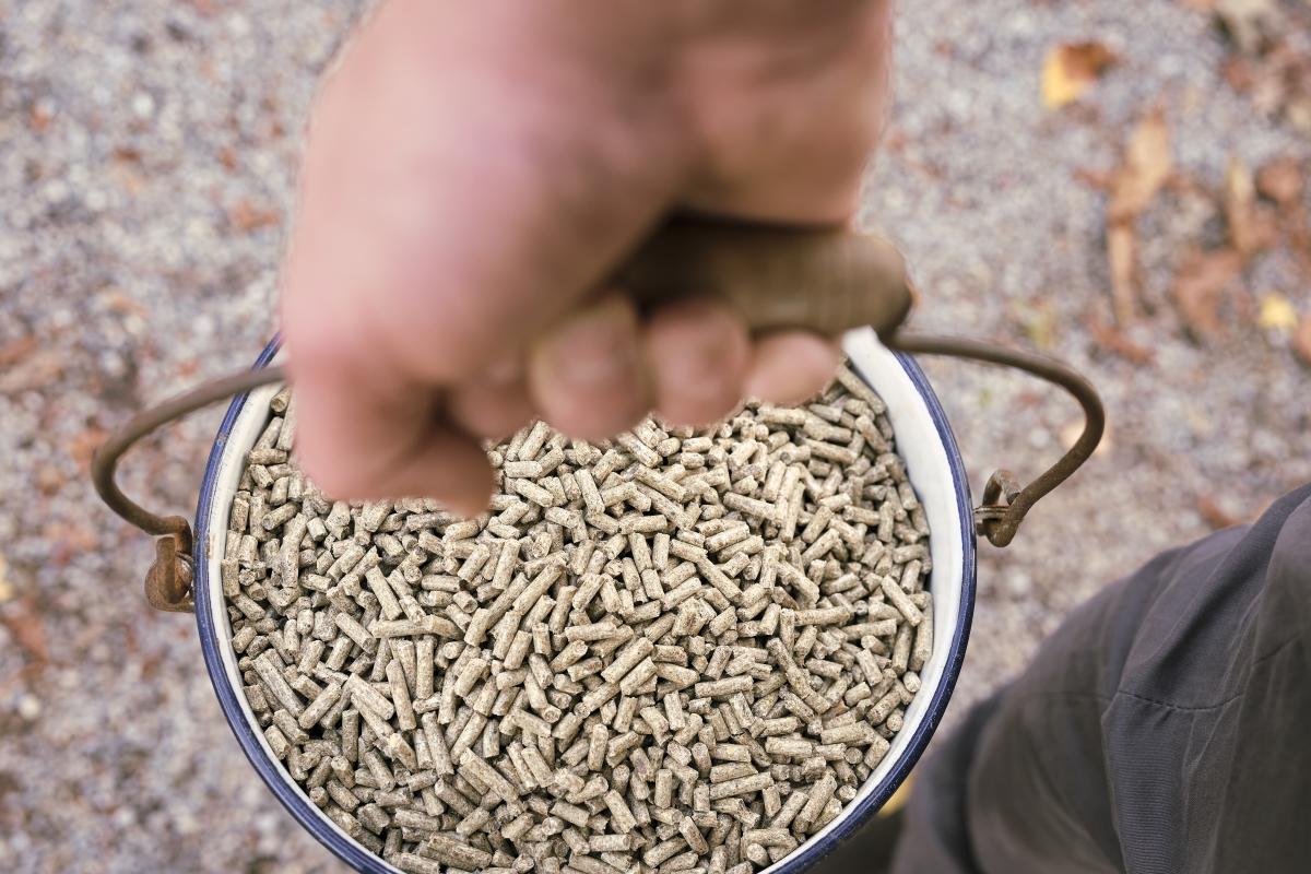 Titelbild: Arbeitsaufwand im Stall mit Strohpellets: Was sich wirklich verändert?
