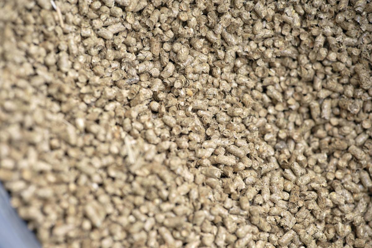 Titelbild: So baust du die Grundschicht im Stall mit Strohpellets richtig auf