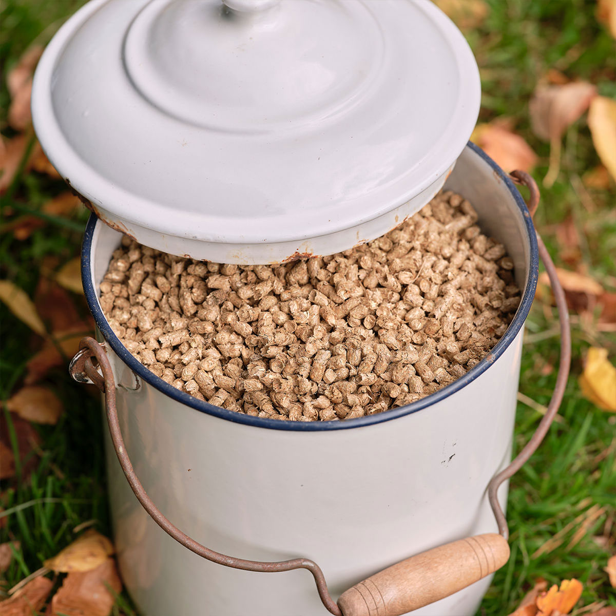 Nachhaltige Pellets aus der Schweiz
