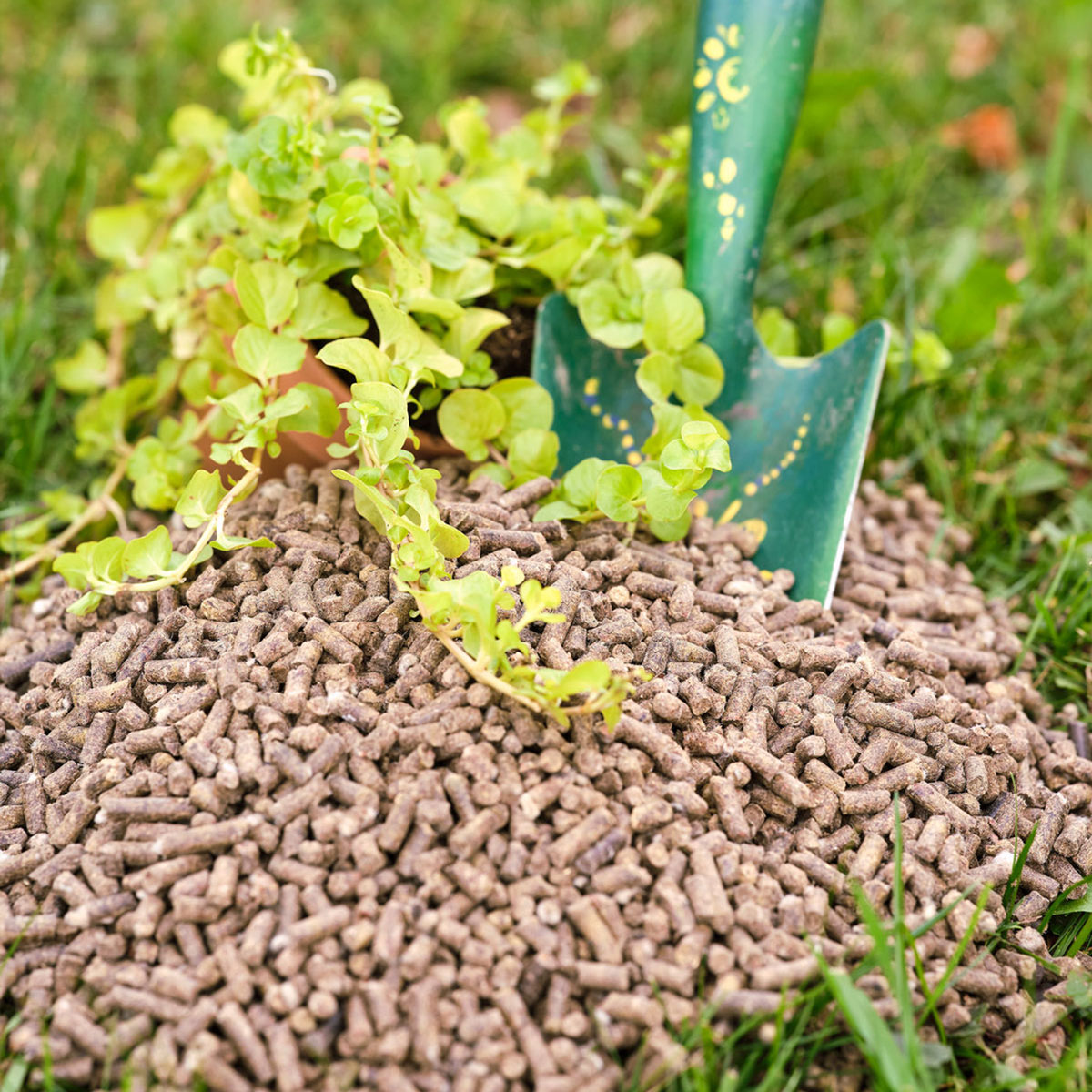 Nachhaltige Pellets aus der Schweiz