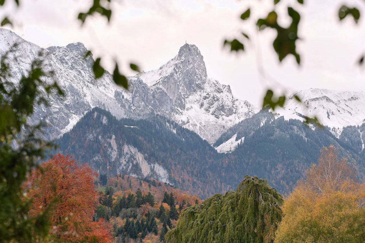 Strohpellets aus der Schweiz für saubere Ställe und Tierhaltung